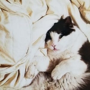 Meet your Posher, Darlene